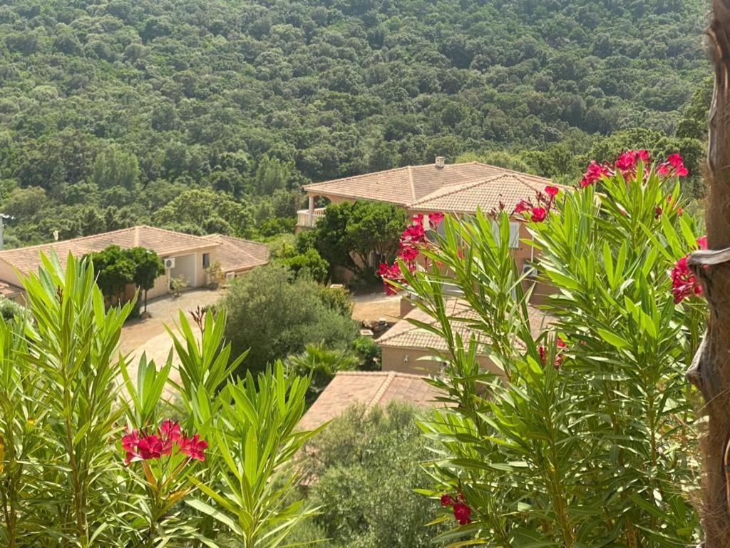 Via Mare Hotel Sainte-Lucie de Porto-Vecchio Luaran gambar